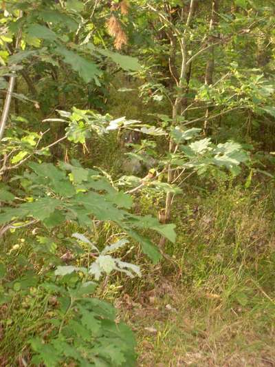 Challenge 21 - wo bin ich : )-Beitrag-Bild