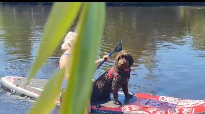 Fotochallenge 101:
On Tour-Beitrag-Bild