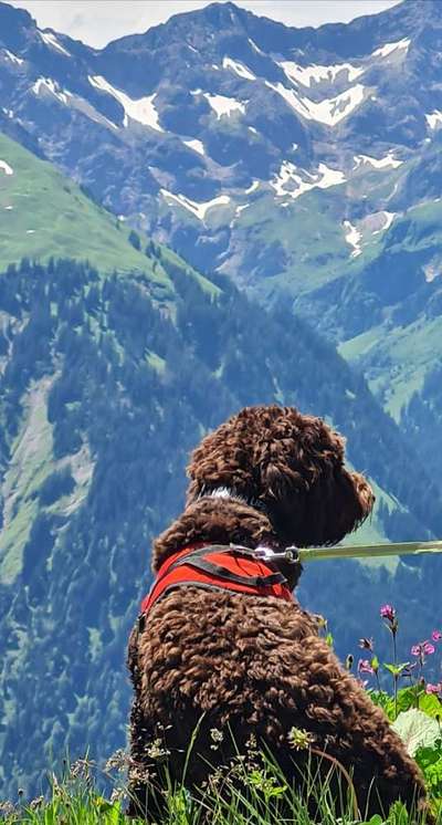 Fotochallenge Nr. 67: Euer Lieblingsbild-Beitrag-Bild