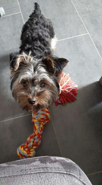 Fotochallange Nr. 57     PORTRÄT.   Beendet!!!!!!!!-Beitrag-Bild