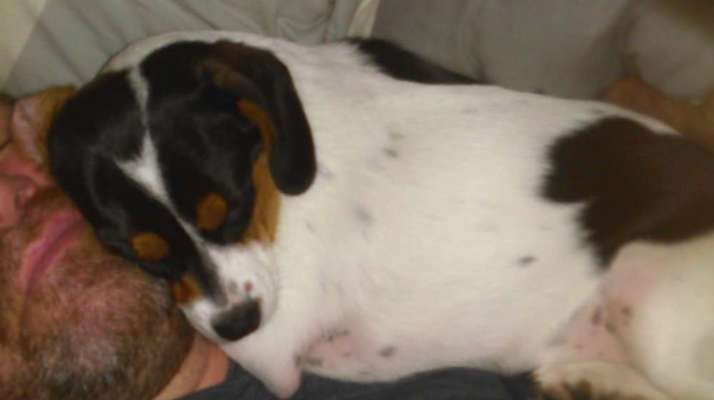 Das erste Foto-Beitrag-Bild