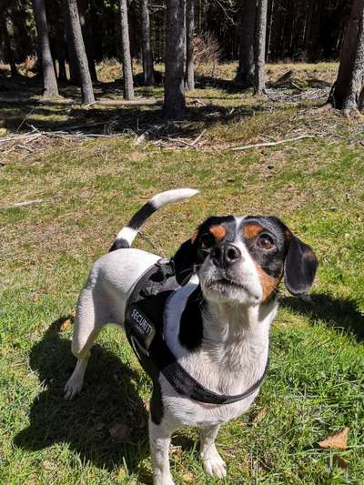 Lieblingsbild :D-Beitrag-Bild