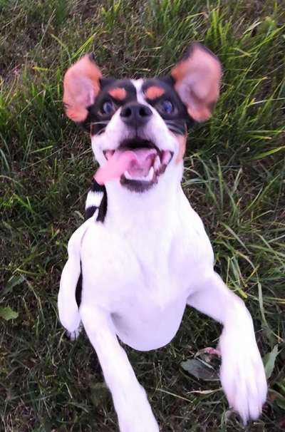 Fotochallange Nr. 6 Die irrsten Blicke-Beitrag-Bild