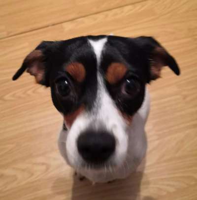 Lieblingsbild :D-Beitrag-Bild