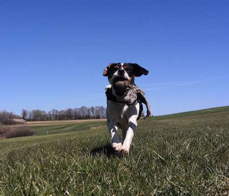 Fotochallenge No. 26                                     Wald und Wiese-Beitrag-Bild