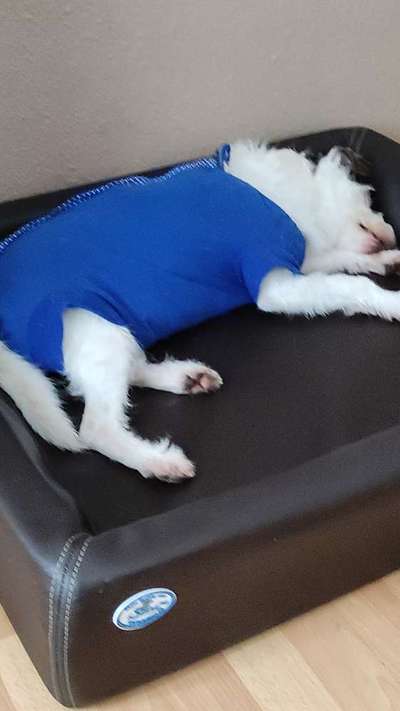 Op hinter Ohr Warze weg machen  lassen kurz Narkose-Beitrag-Bild