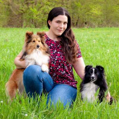 Hundeschulen-Hundeservice Jakobi - Hundetraining & Gassi-Service -Bild