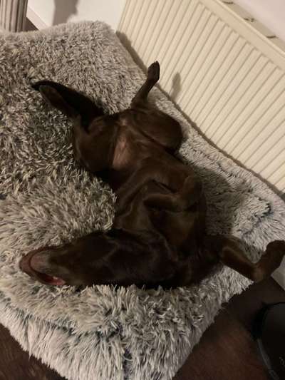 Fotochallenge Nr.65-Beitrag-Bild