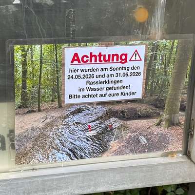 Giftköder-Rasierklingen im Bach-Bild