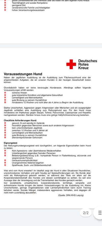 Indoor Beschäftigung-Beitrag-Bild