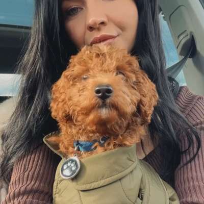 Hundetreffen-Junghundetreffen / Spazieren spielen-Profilbild