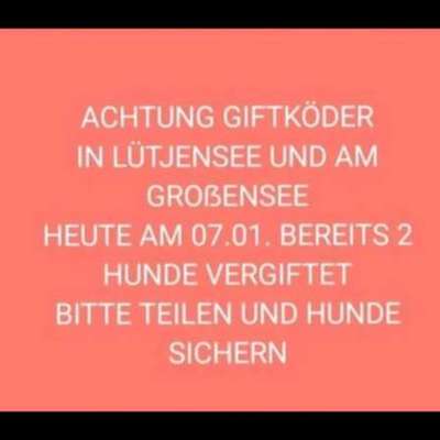 Giftköder-Giftköder-Bild