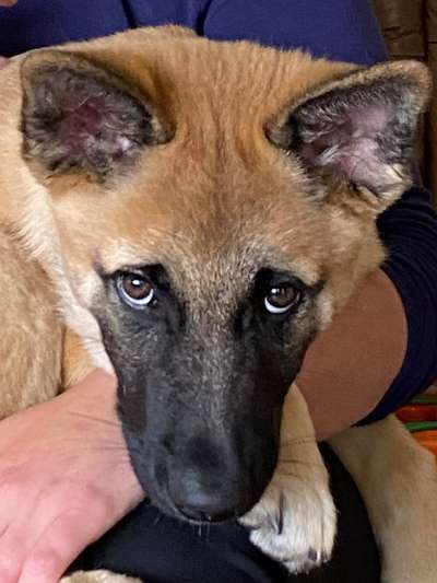 Fotochallange Nr. 57     PORTRÄT.   Beendet!!!!!!!!-Beitrag-Bild