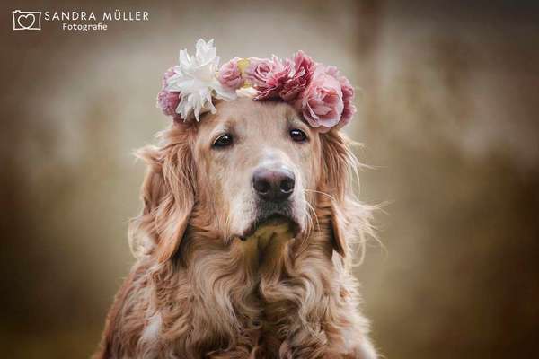 Fotochallange Nr. 57     PORTRÄT.   Beendet!!!!!!!!-Beitrag-Bild