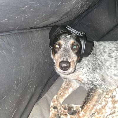 Wie habt ihr den Silvesterabend verbracht?-Beitrag-Bild