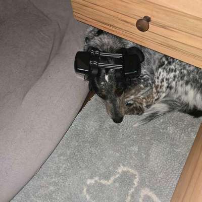 Wie habt ihr den Silvesterabend verbracht?-Beitrag-Bild