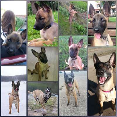 Sie werden so schnell groß!-Beitrag-Bild