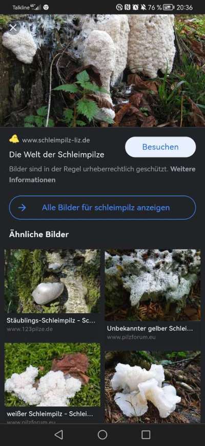was ist das?-Beitrag-Bild