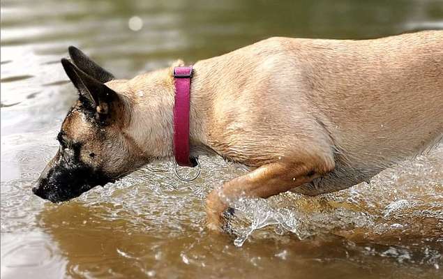 Lieblingsbild-Beitrag-Bild