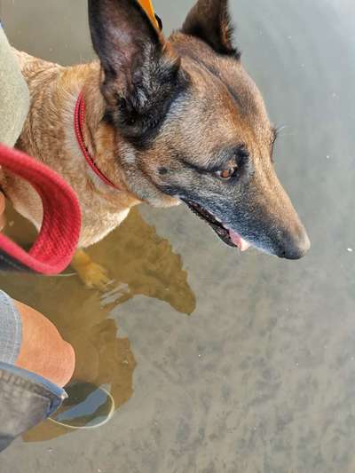 Von oben-Beitrag-Bild