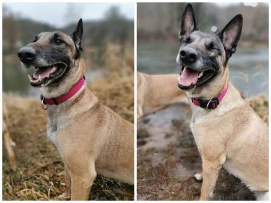 Das beste grinsefoto-Beitrag-Bild