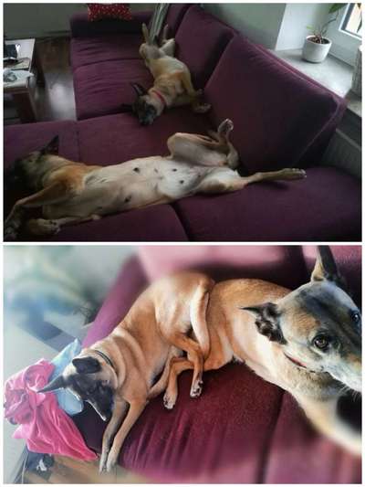 Fotochallenge 88-Beitrag-Bild