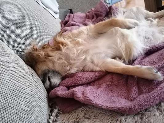 Foto Challenge Nr. 134-Beitrag-Bild