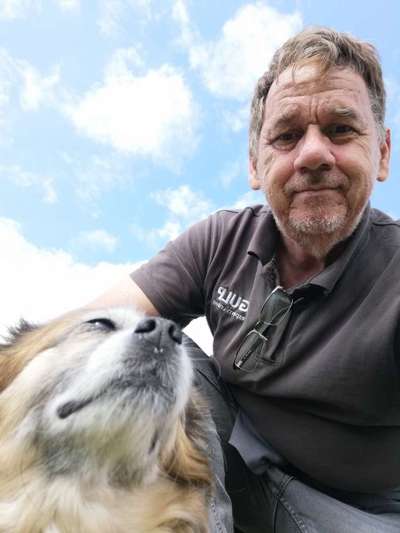 Hundetreffen-Gemeinsame Gassirunde-Bild