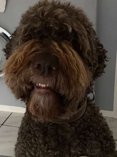 Fotochallange Nr. 57     PORTRÄT.   Beendet!!!!!!!!-Beitrag-Bild