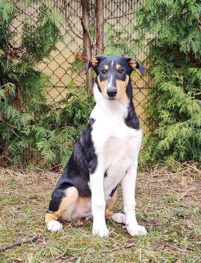 Fotochallenge No. 26                                     Wald und Wiese-Beitrag-Bild