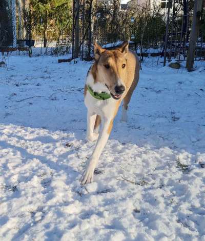 Fotochallenge No. 26                                     Wald und Wiese-Beitrag-Bild