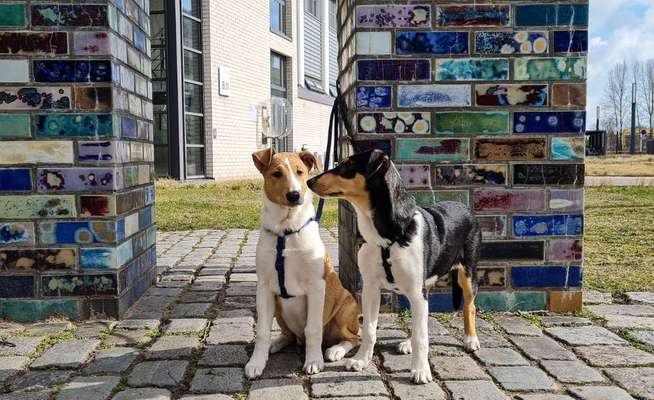 Fotochallenge No. 26                                     Wald und Wiese-Beitrag-Bild