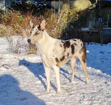Fotochallenge No. 26                                     Wald und Wiese-Beitrag-Bild