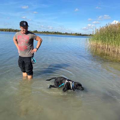 Hundetreffen-Gassi uns Spielrunden am Gatzen/Profen Wildgehege