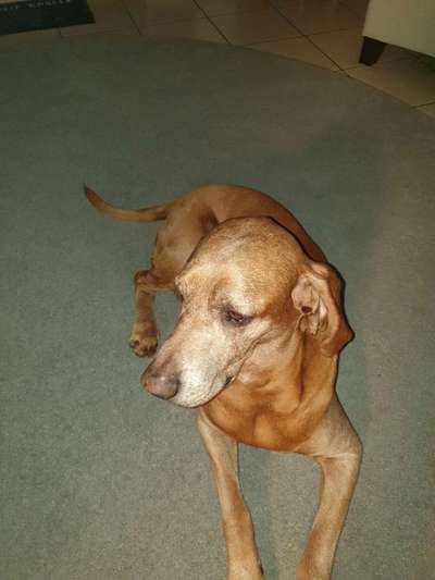 Lieblingsbild-Beitrag-Bild