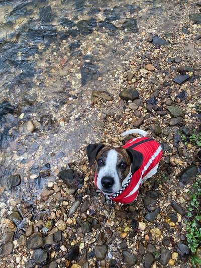 Von oben-Beitrag-Bild