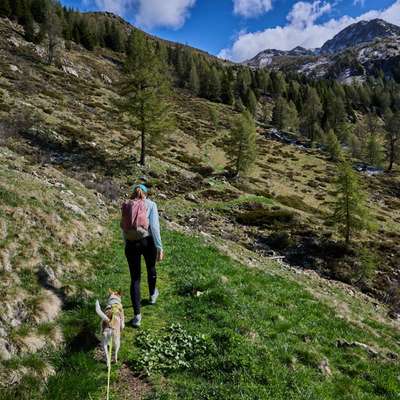 aktuelles Foto Gruppe Wandern und Outdoor