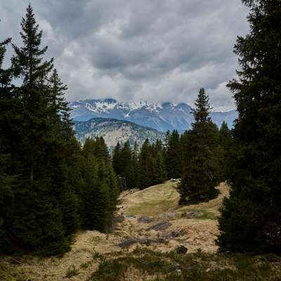 aktuelles Foto Gruppe Wandern und Outdoor
