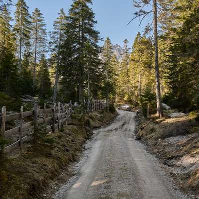 aktuelles Foto Gruppe Wandern und Outdoor