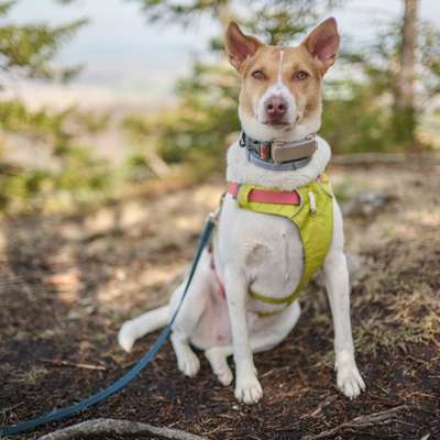 aktuelles Foto Gruppe Wandern und Outdoor