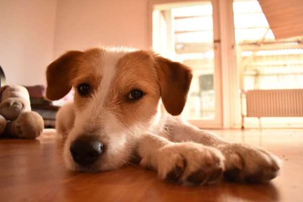 Lieblingsbild :D-Beitrag-Bild