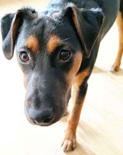 Fotochallange Nr. 57     PORTRÄT.   Beendet!!!!!!!!-Beitrag-Bild