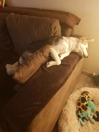 CHALLENGE NR. 34 - Liege-/Schlafpositionen-Beitrag-Bild