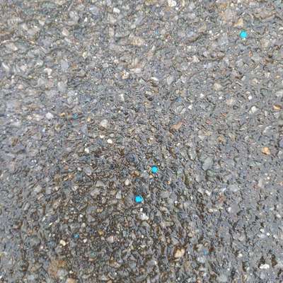 Giftköder-Rattengift verstreut-Bild