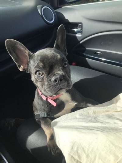 Foto Challenge 3-Beitrag-Bild