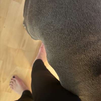 Bitte um Erfahrungen-Beitrag-Bild