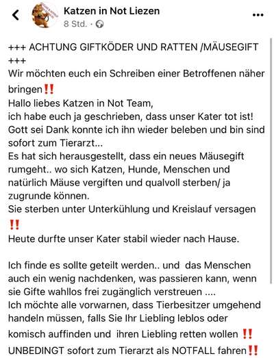 Giftköder-Vergiftete Katze-Bild