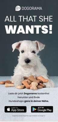 Werbung für Dogorama-Vom Hundefan für Hundefans-Beitrag-Bild