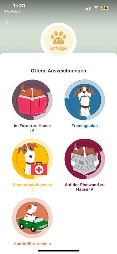 Auszeichnungen und Erfolge bei Dogorama - Fragen & Antworten-Beitrag-Bild