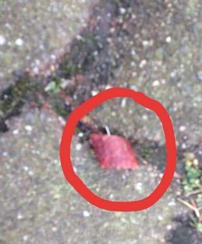 Giftköder-Köder gespickt mit spitzen Gegenstand-Bild